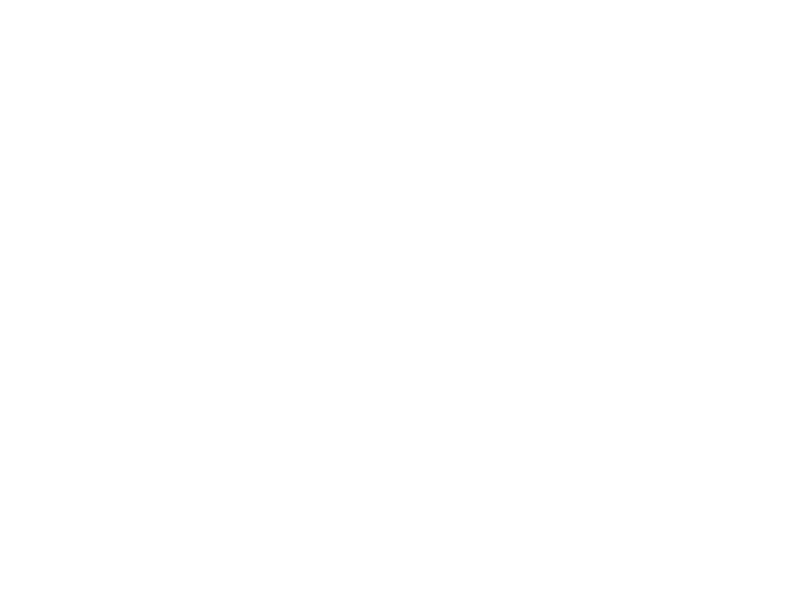 holset