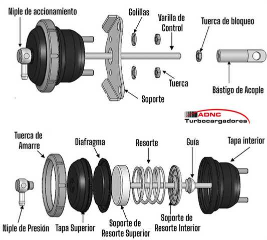 Partes de un actuador - ADNC